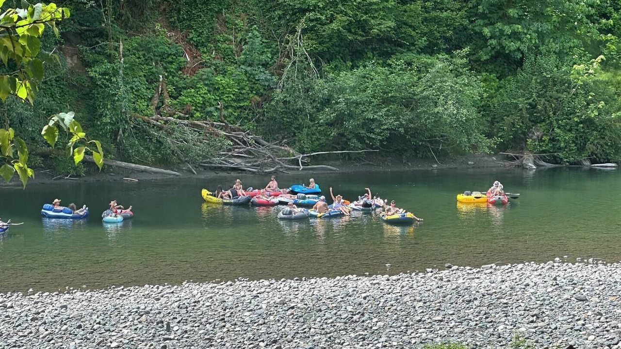 Photo of Others in Arlington