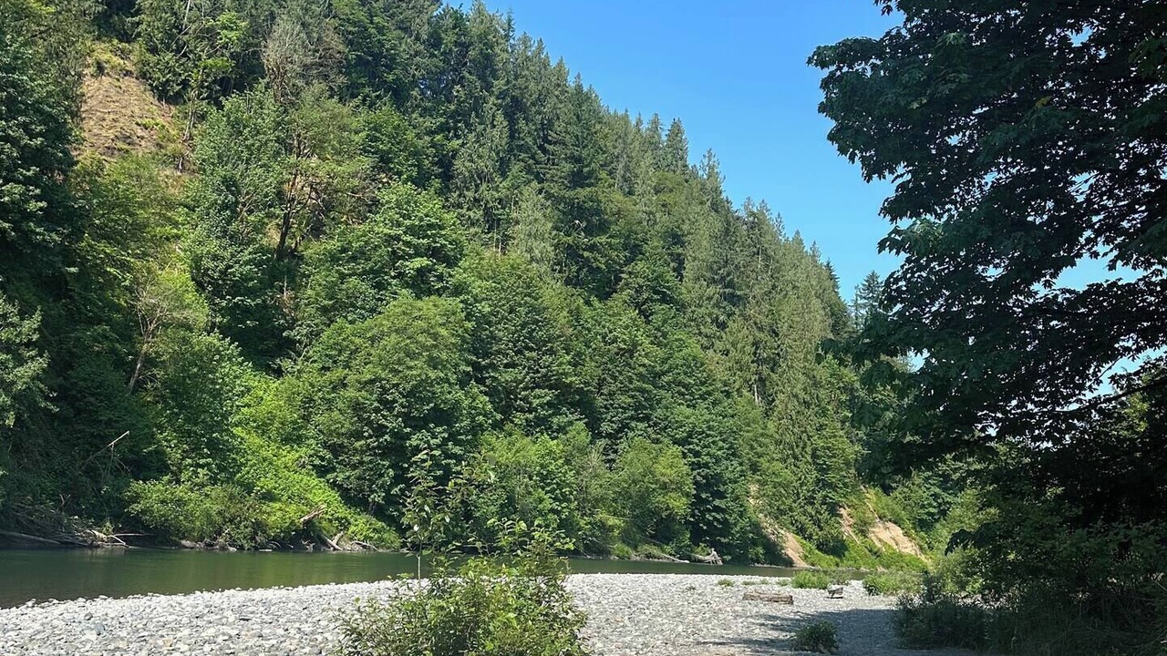 Photo of Others in Arlington