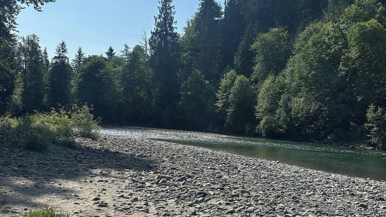 Photo of Others in Arlington