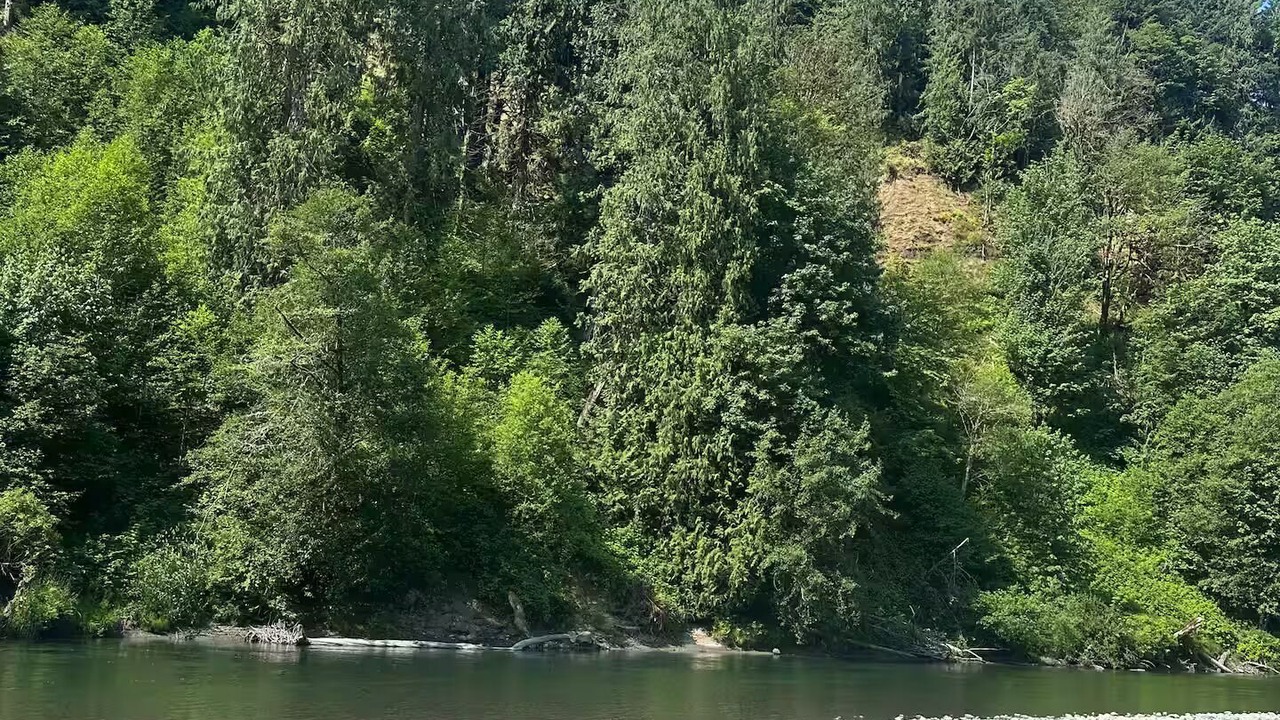 Photo of Others in Arlington