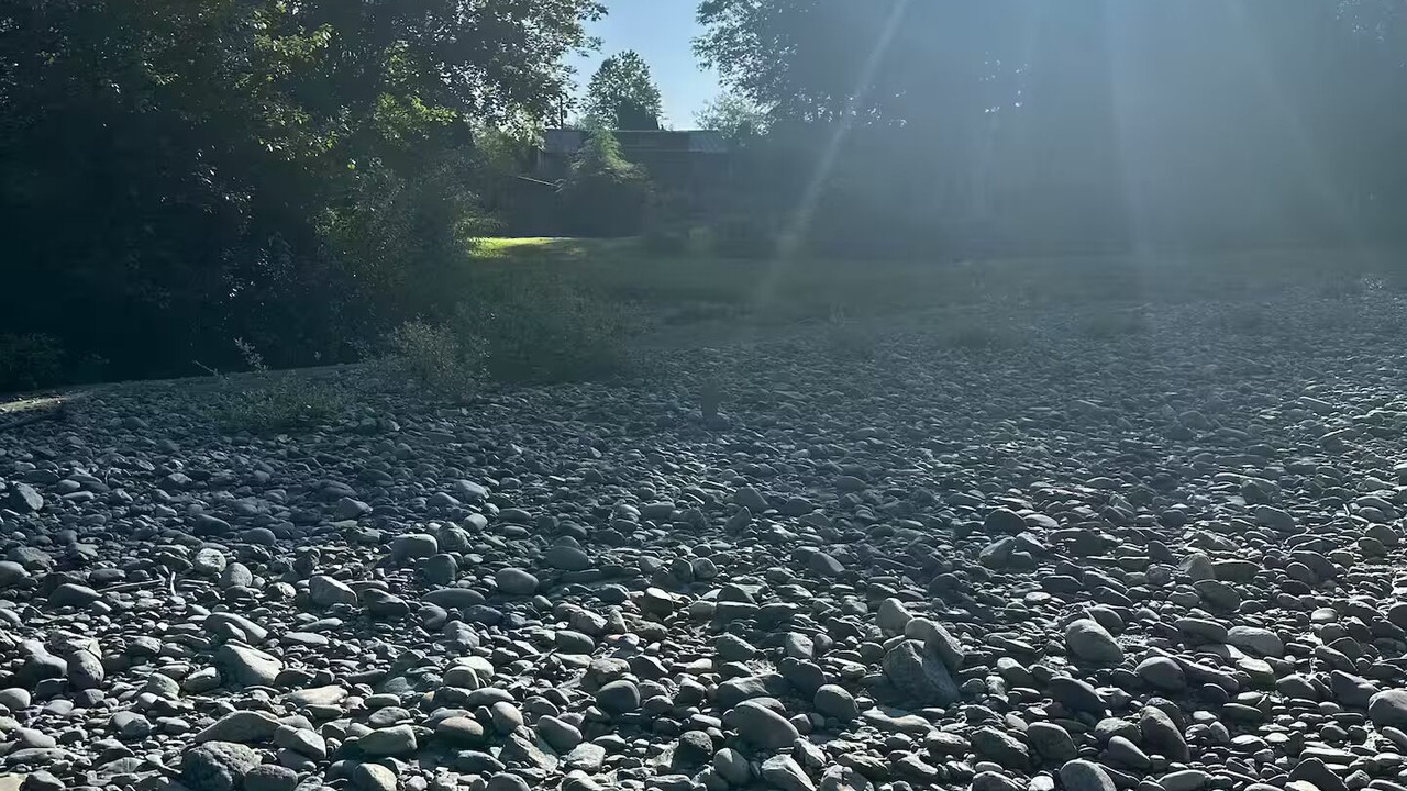 Photo of Others in Arlington