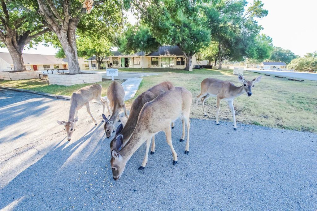 Photo of Outdoor in Highland Lake Estates
