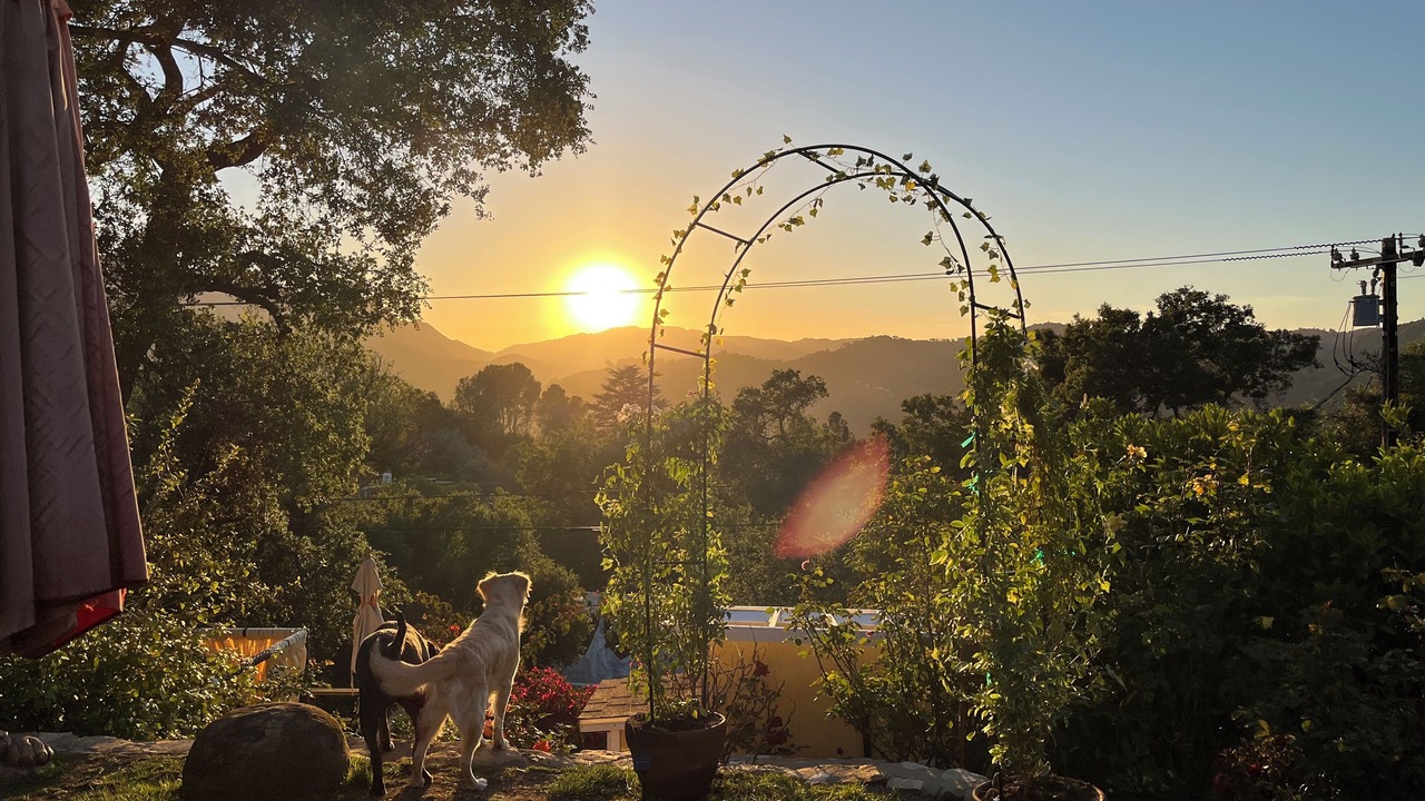 Photo of Outdoor in Topanga