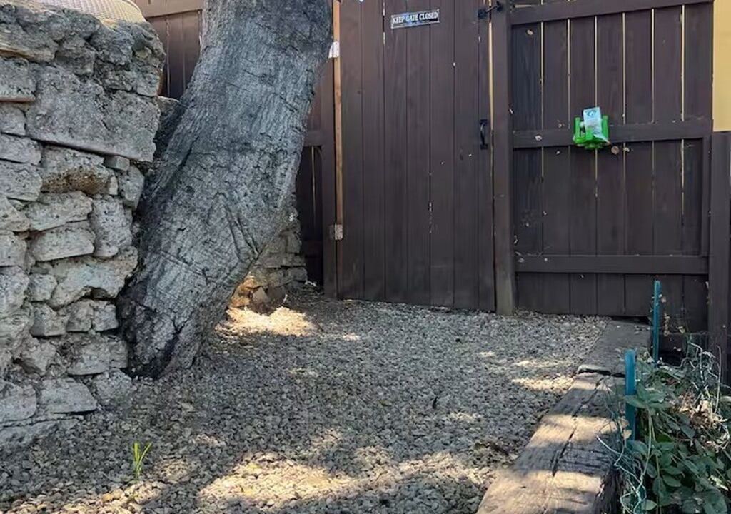 Photo of Outdoor in Topanga