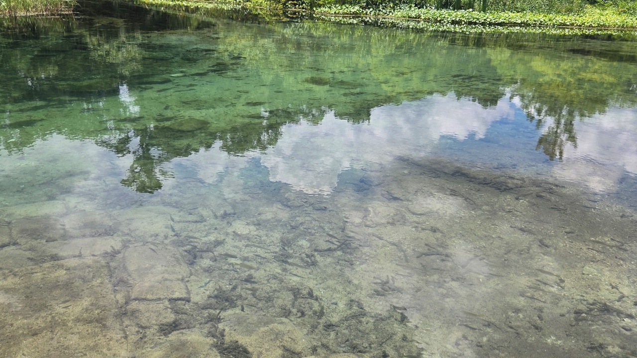 Photo of Others in Dunnellon