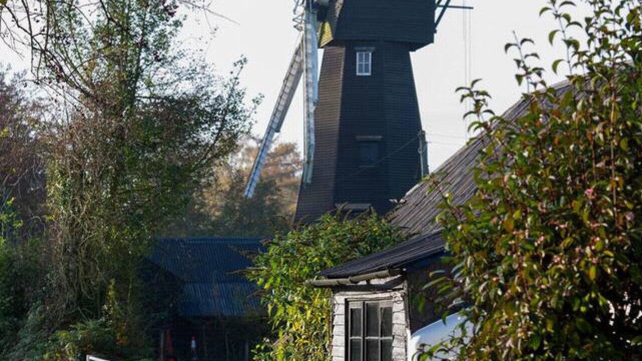 Photo of Others in Stelling Minnis