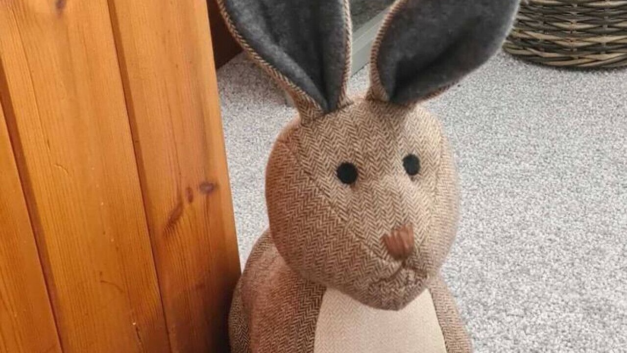 Photo of Others in Stelling Minnis