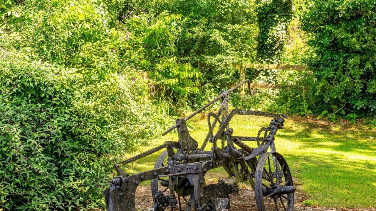 Photo of Others in Stelling Minnis