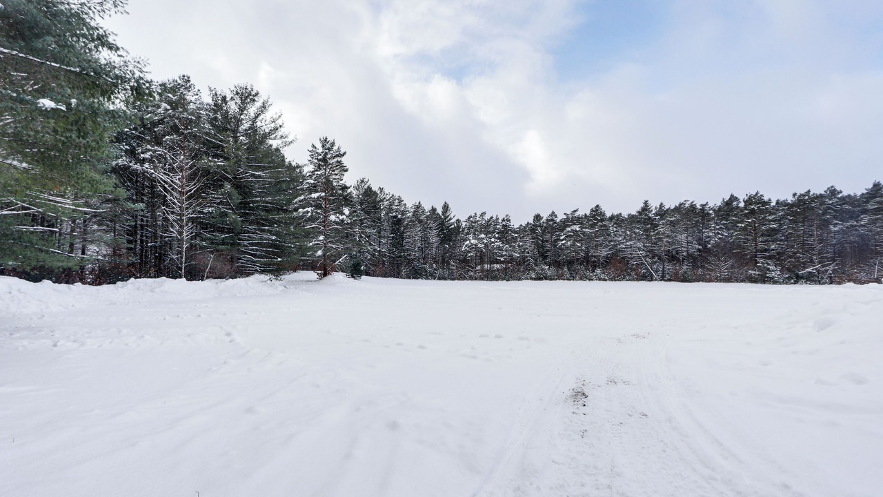 Photo of Others in Brantingham