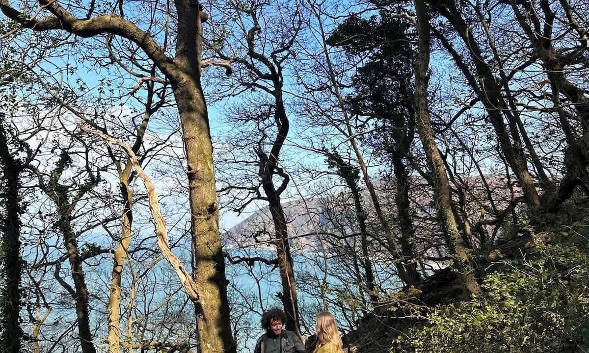 Photo of Others in Lynmouth