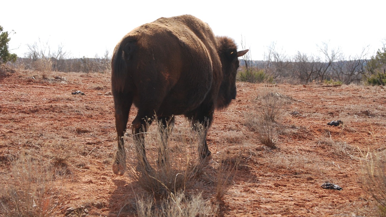 Photo of Others in Silverton