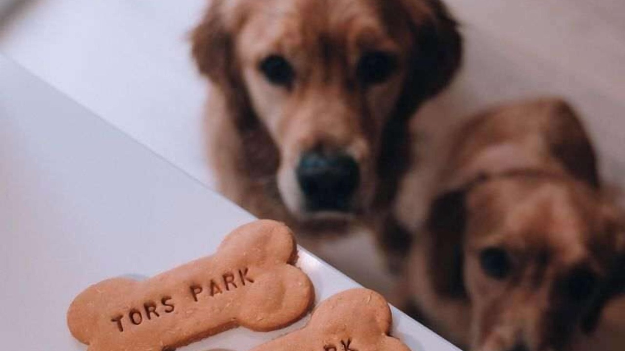 Photo of Others in Lynmouth