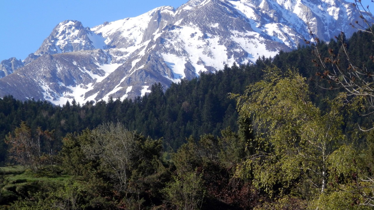 Photo of Others in Bagneres-de-Luchon