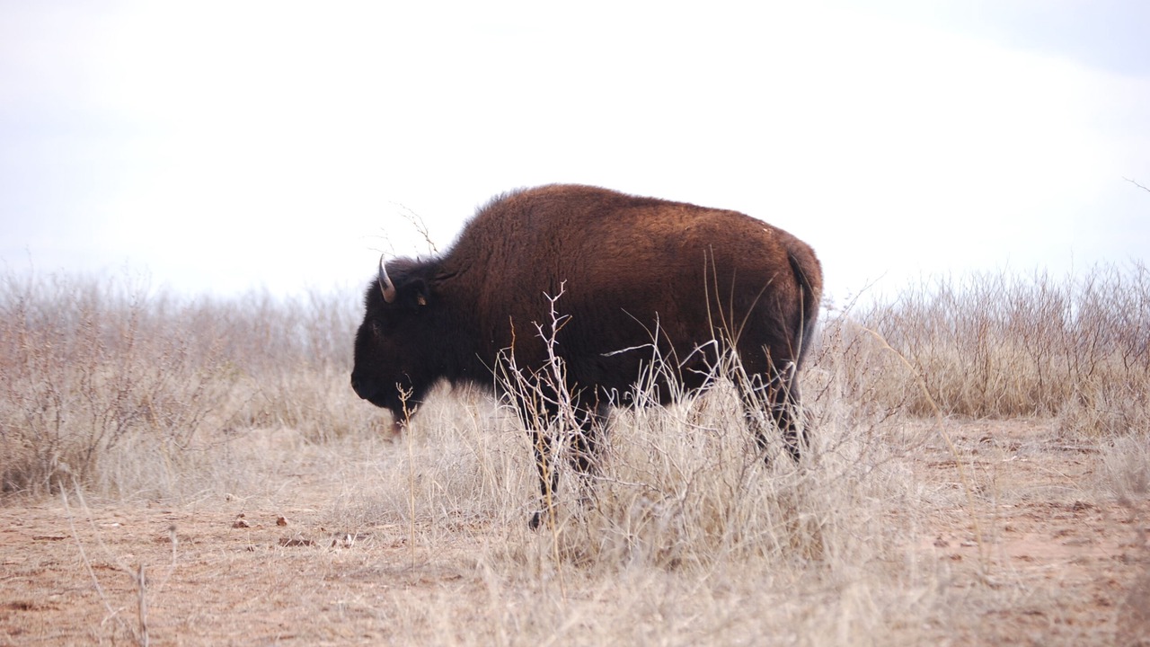 Photo of Others in Silverton