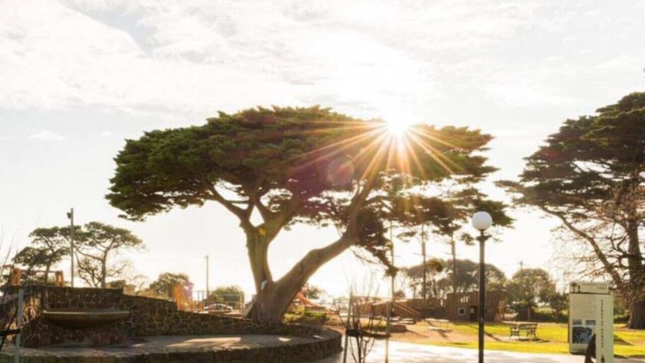 Photo of Outdoor in Mornington