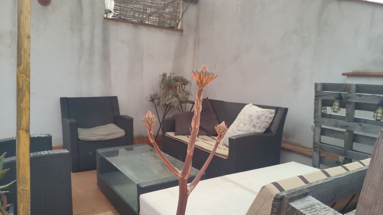 Photo of Patio Balcony in Gothic Quarter