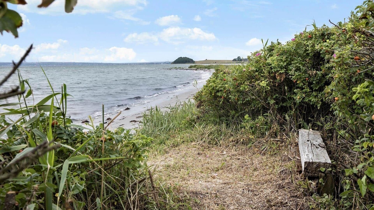 Photo of Others in Skødshoved Strand