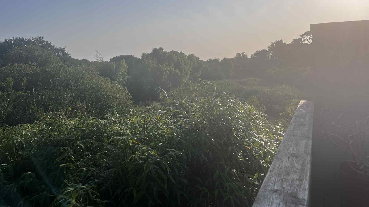 Photo of Outdoor in Landunvez