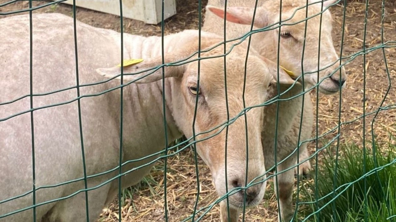 Photo of Others in Le Grand Serre