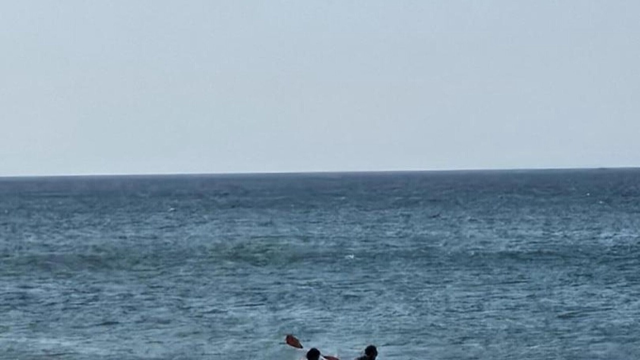 Photo of Others in Fermanville