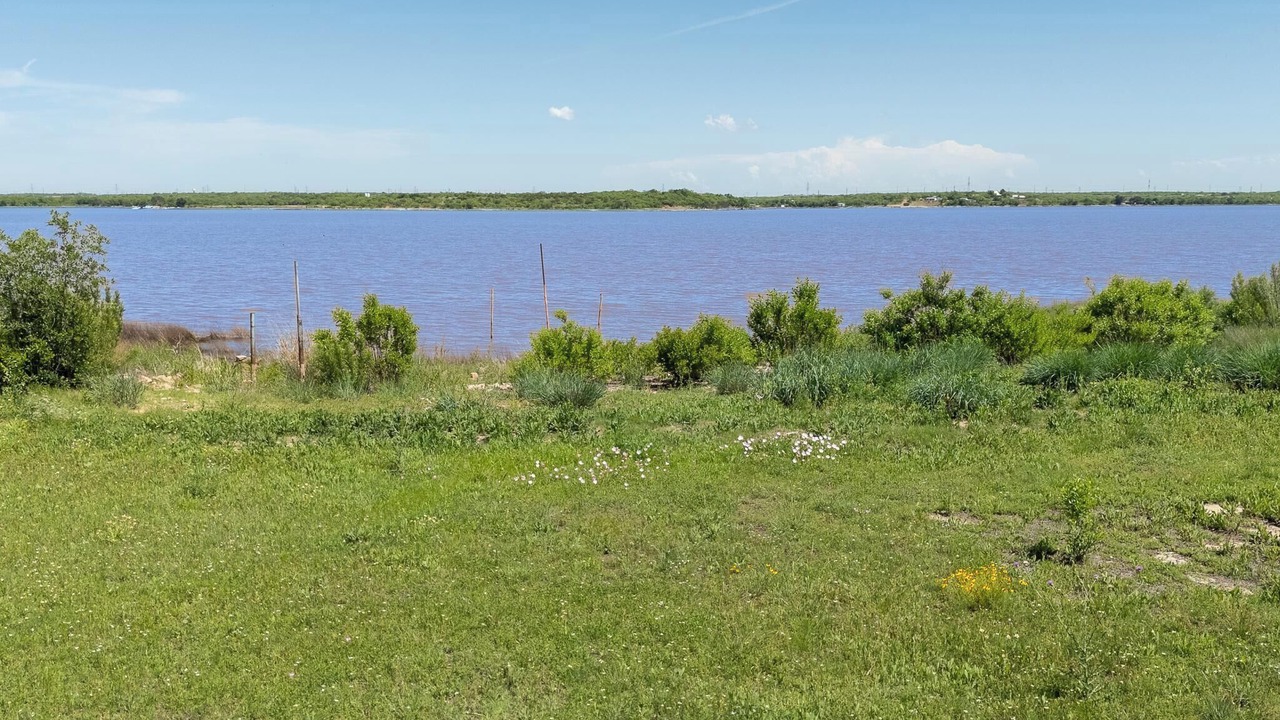 Photo of Others in Abilene