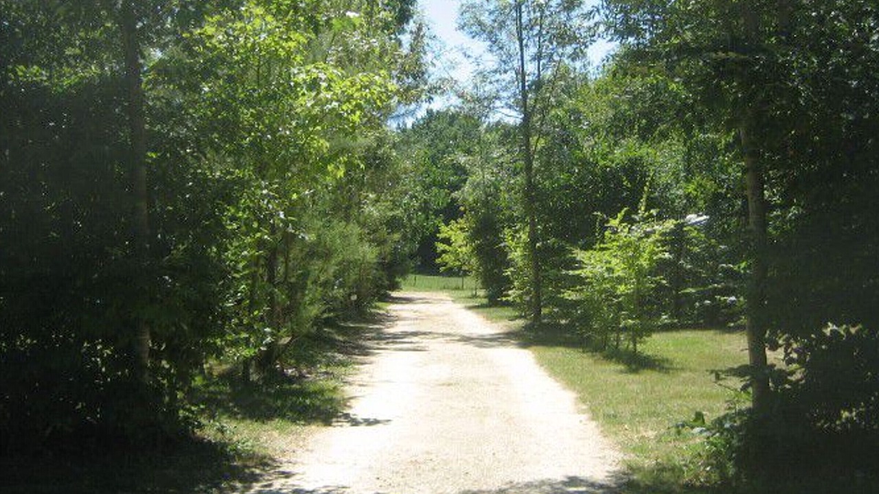 Photo of Others in Rives
