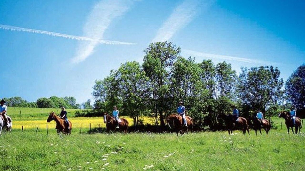 Photo of Others in Chille