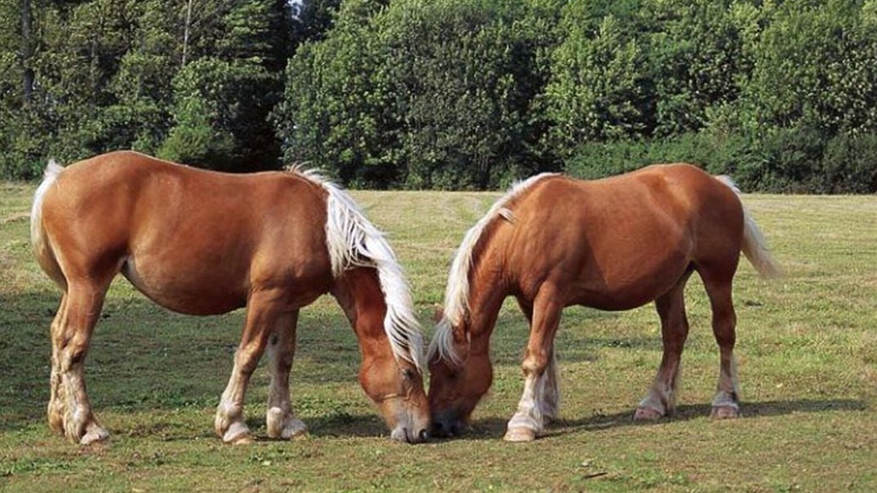 Photo of Others in Chille