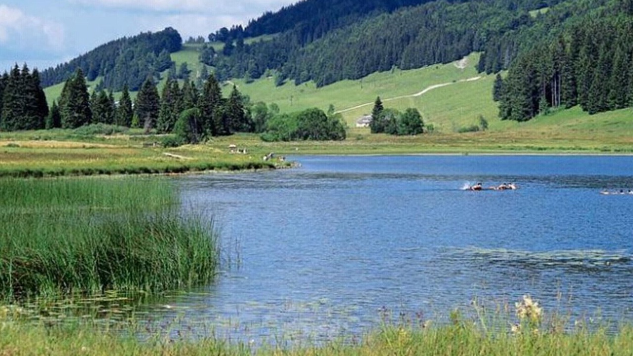 Photo of Others in Chille