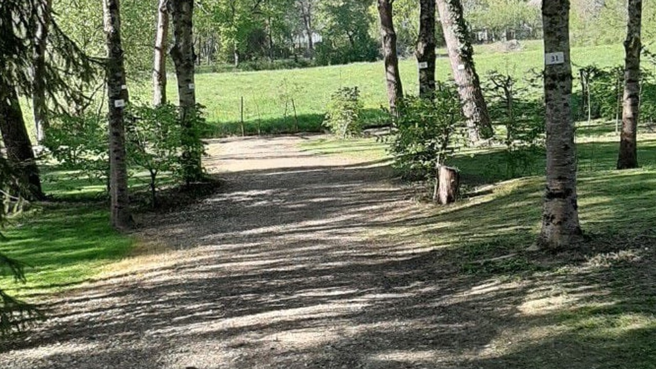 Photo of Others in Rives