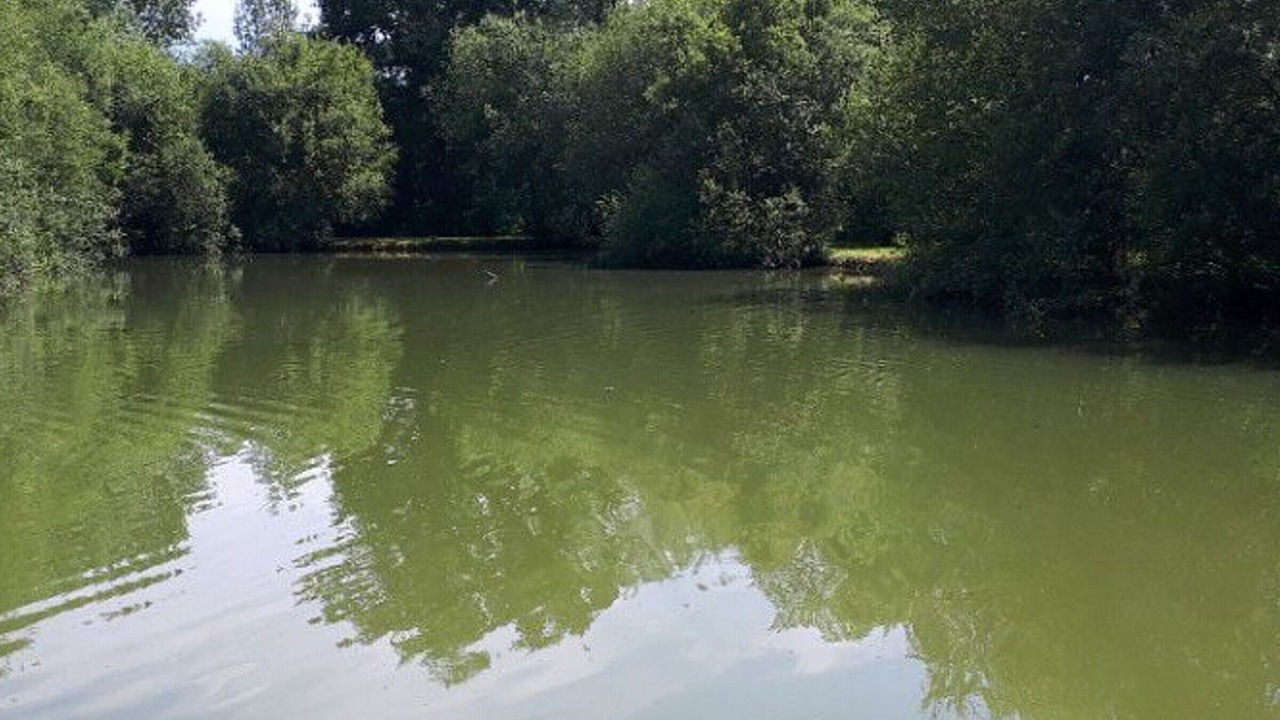 Photo of Others in Rives