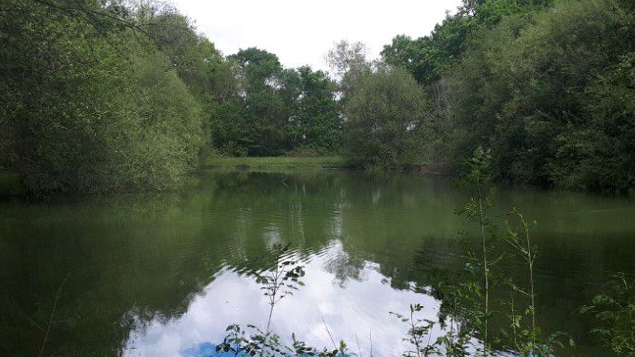 Photo of Others in Rives