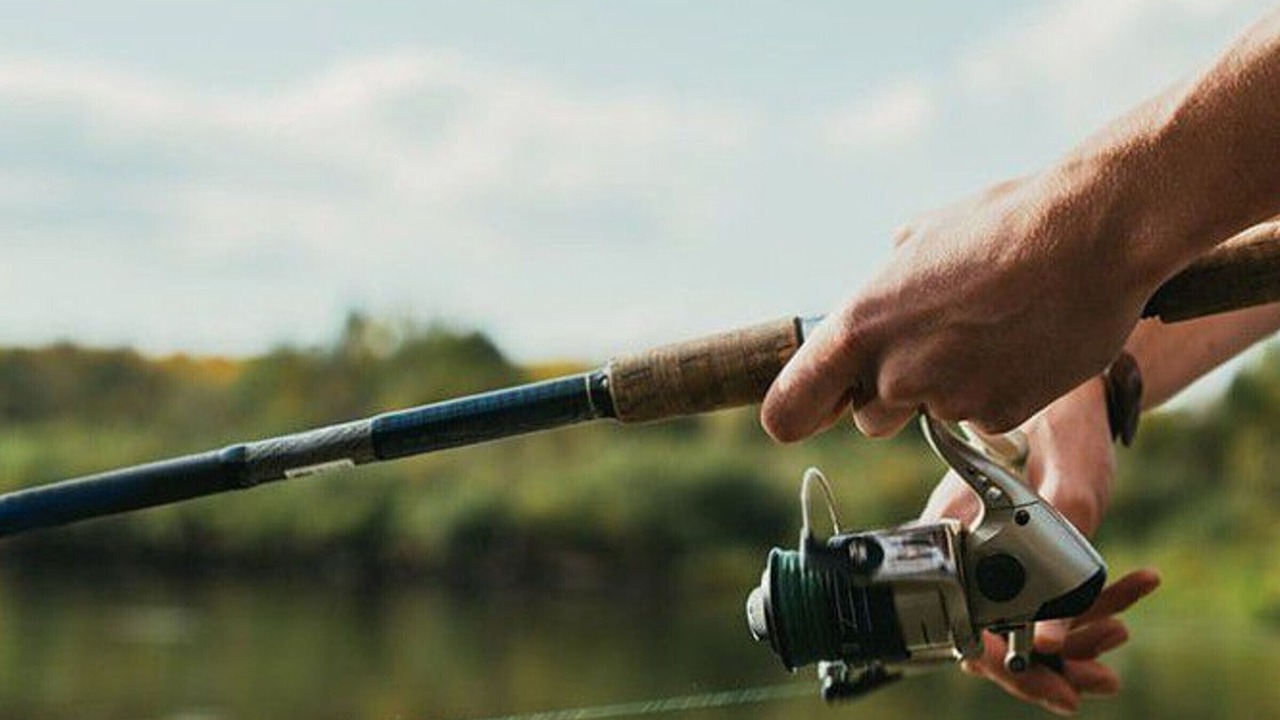 Photo of Others in Rives