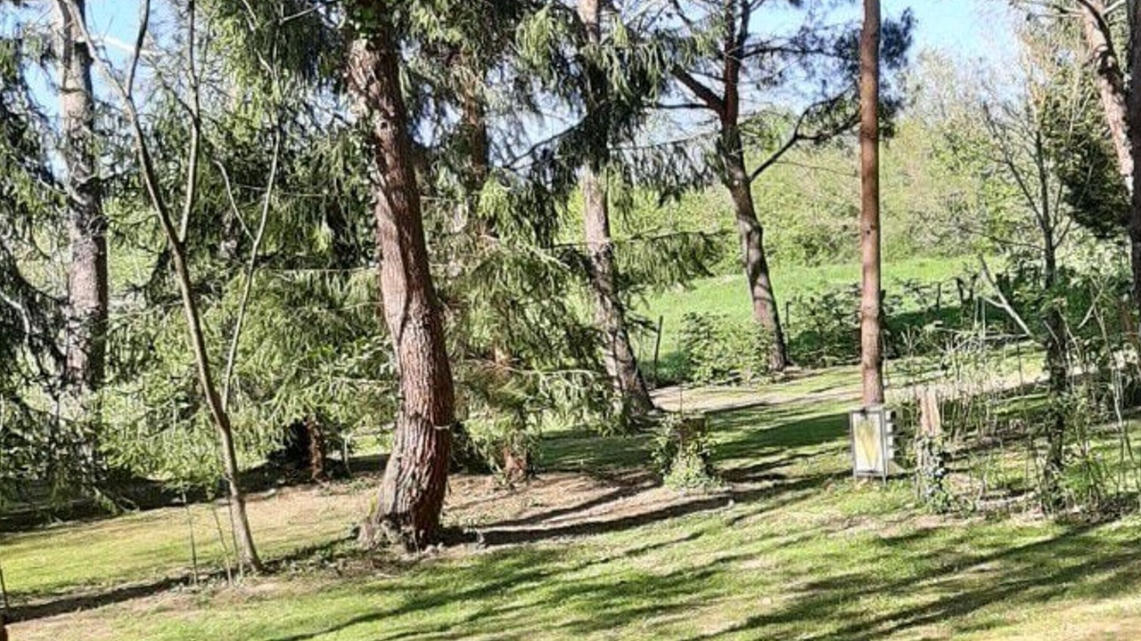 Photo of Outdoor in Rives