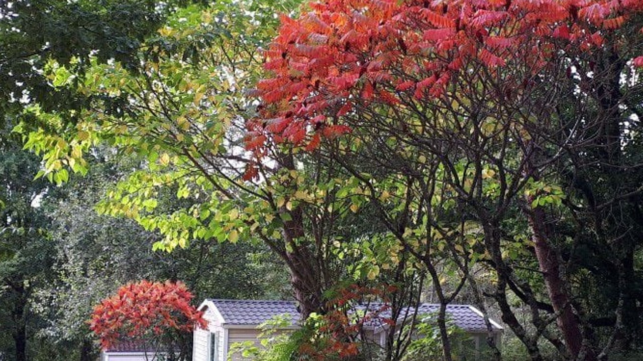 Photo of Others in Rives