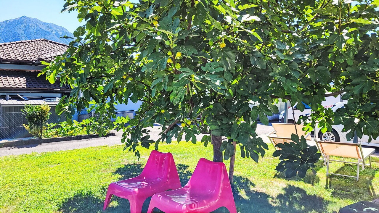 Photo of Outdoor in Gordola