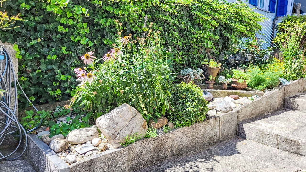 Photo of Outdoor in Gordola