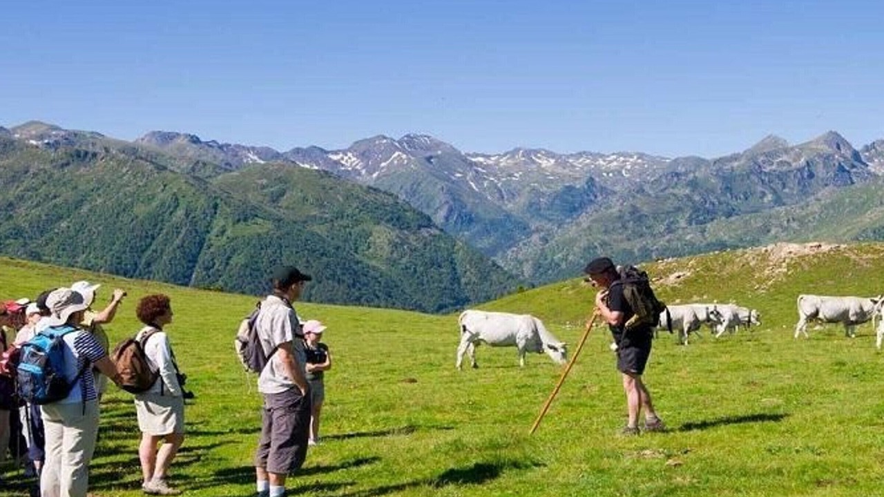 Photo of Others in Les Cabannes