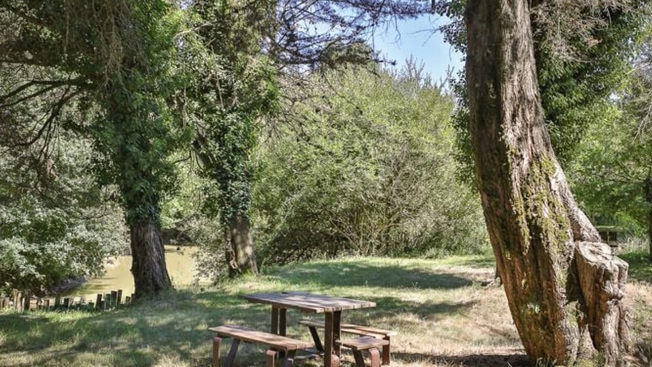 Photo of Outdoor in Les Achards