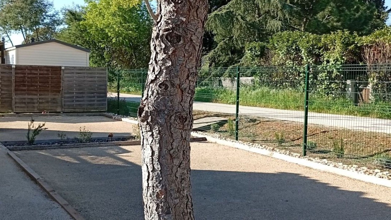 Photo of Outdoor in Massillargues-Attuech