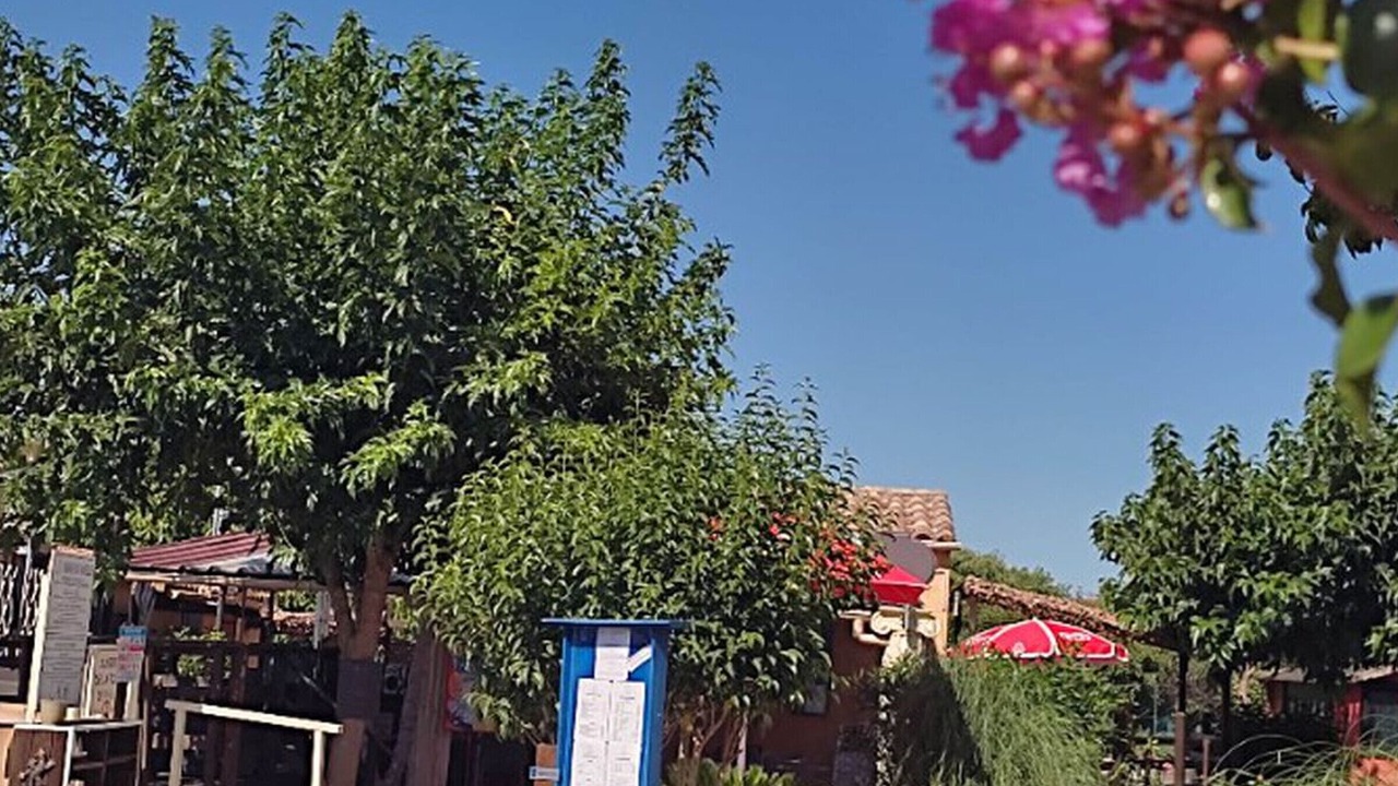 Photo of Others in Massillargues-Attuech