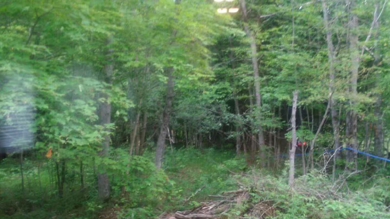 Photo of Others in Lanark Highlands
