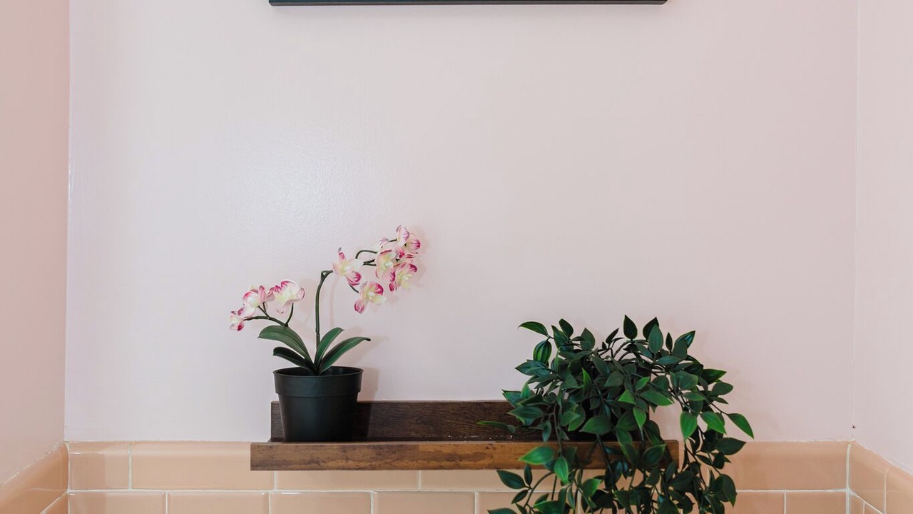 Photo of Others in Randolph