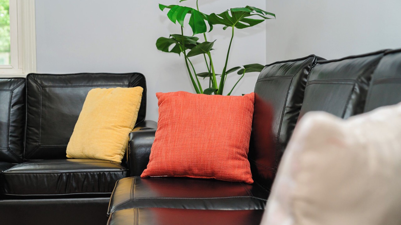 Photo of Others in Randolph