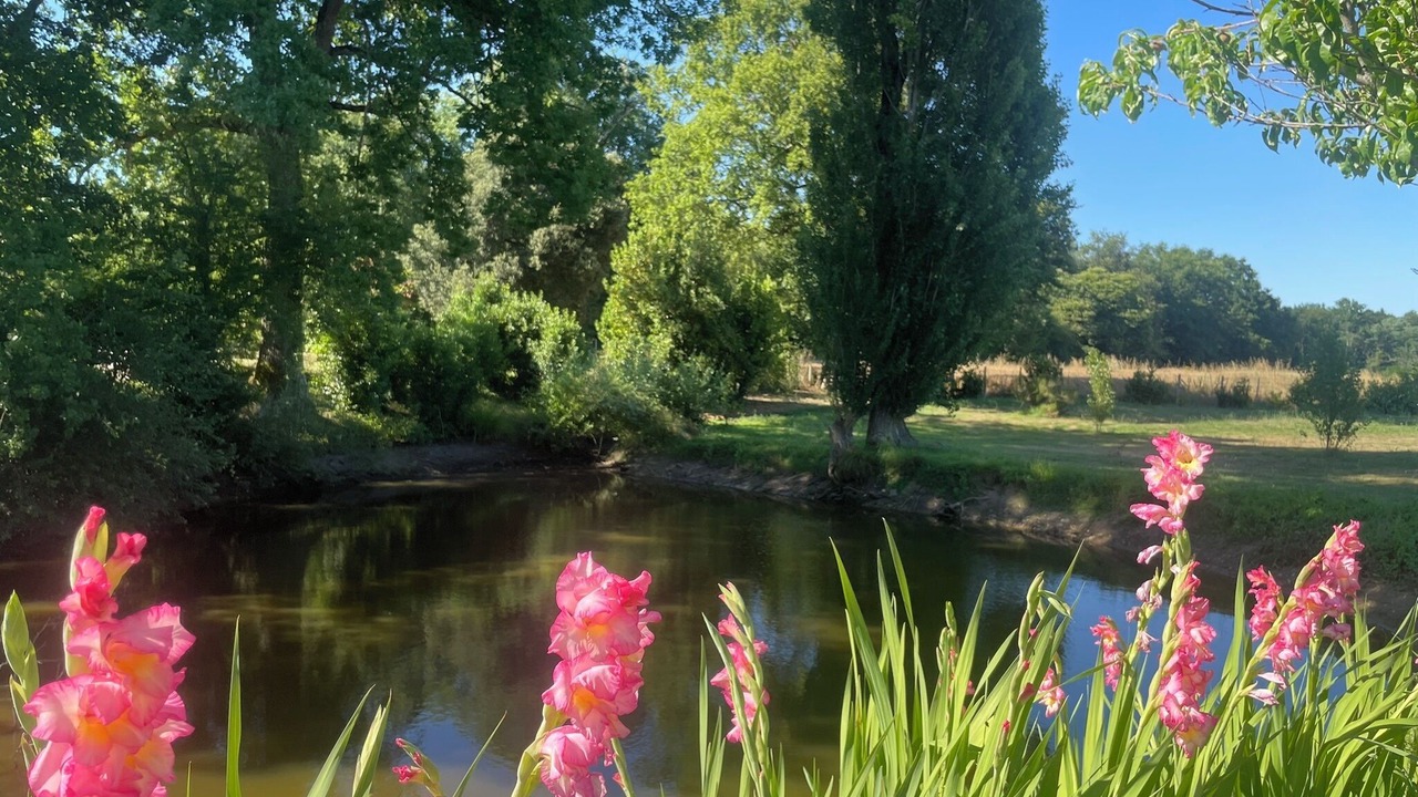 Photo of Outdoor in Lorignac