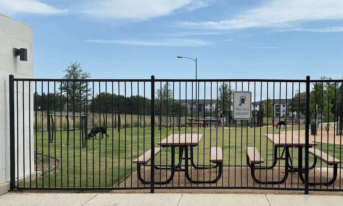 Photo of Outdoor in McNeil