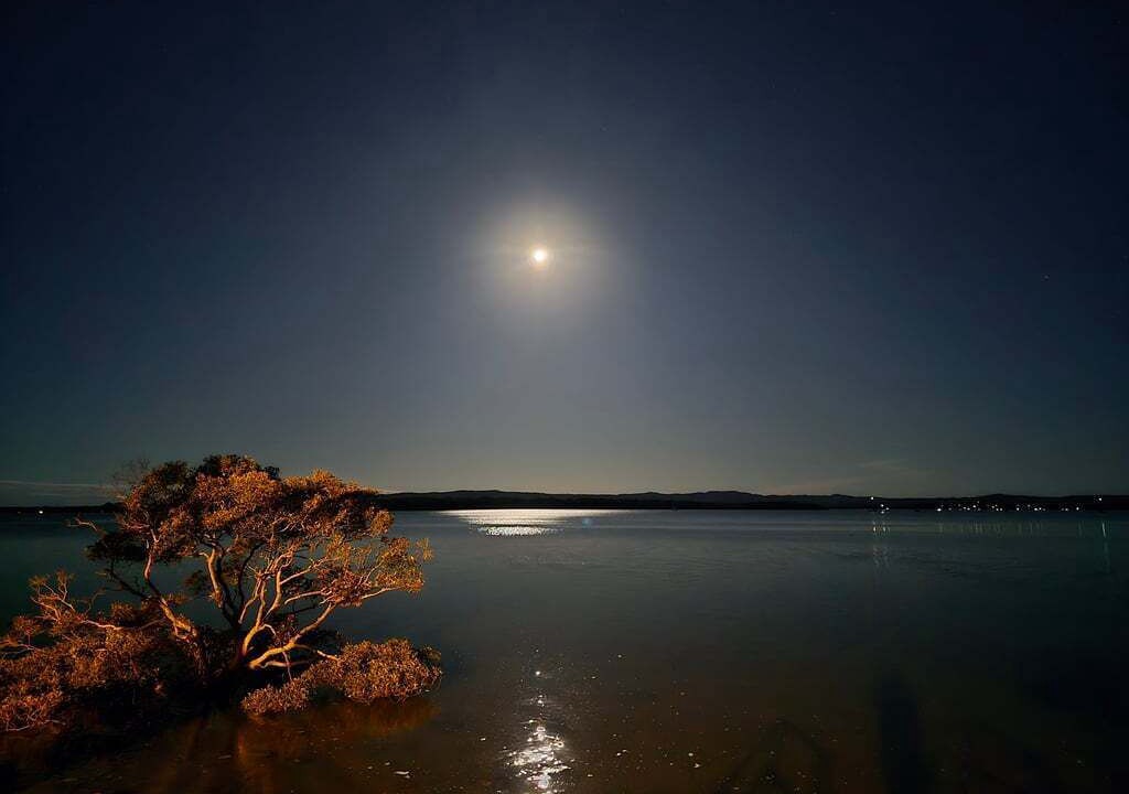 Photo of Others in Tin Can Bay