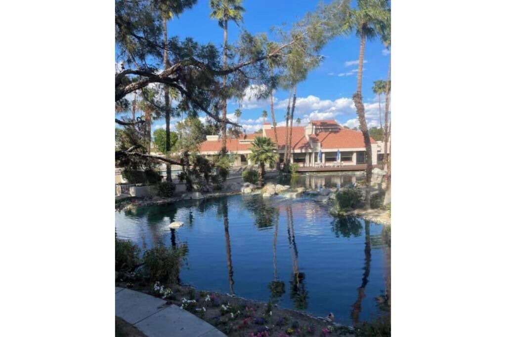 Photo of Others in Cathedral City