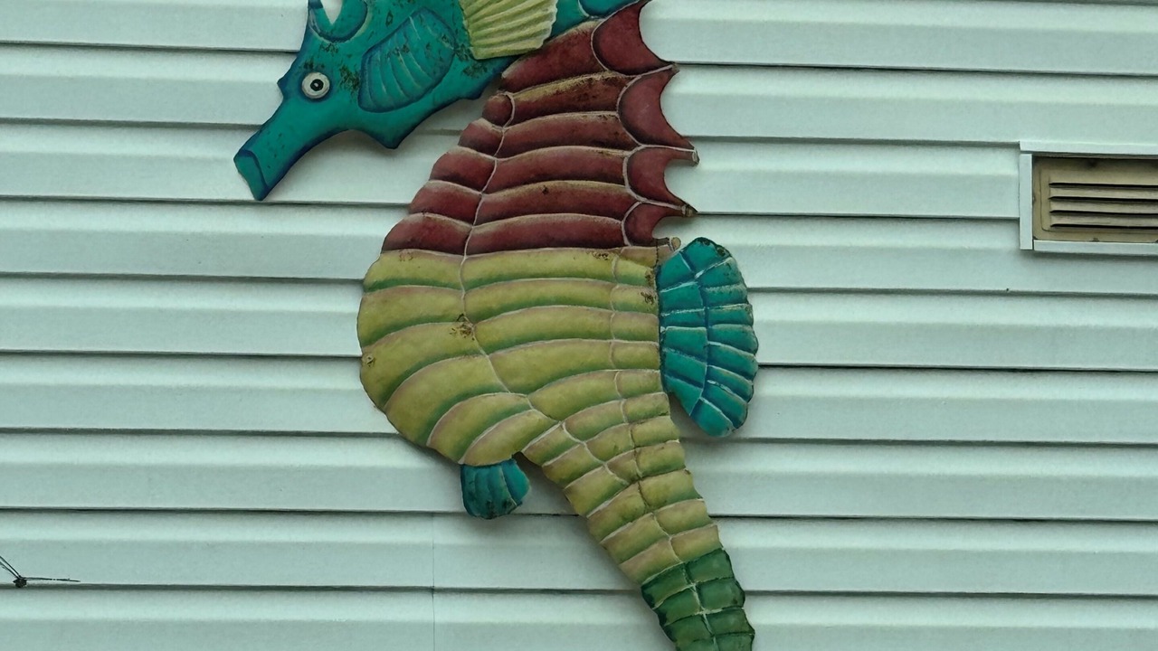 Photo of Outdoor in Shallotte