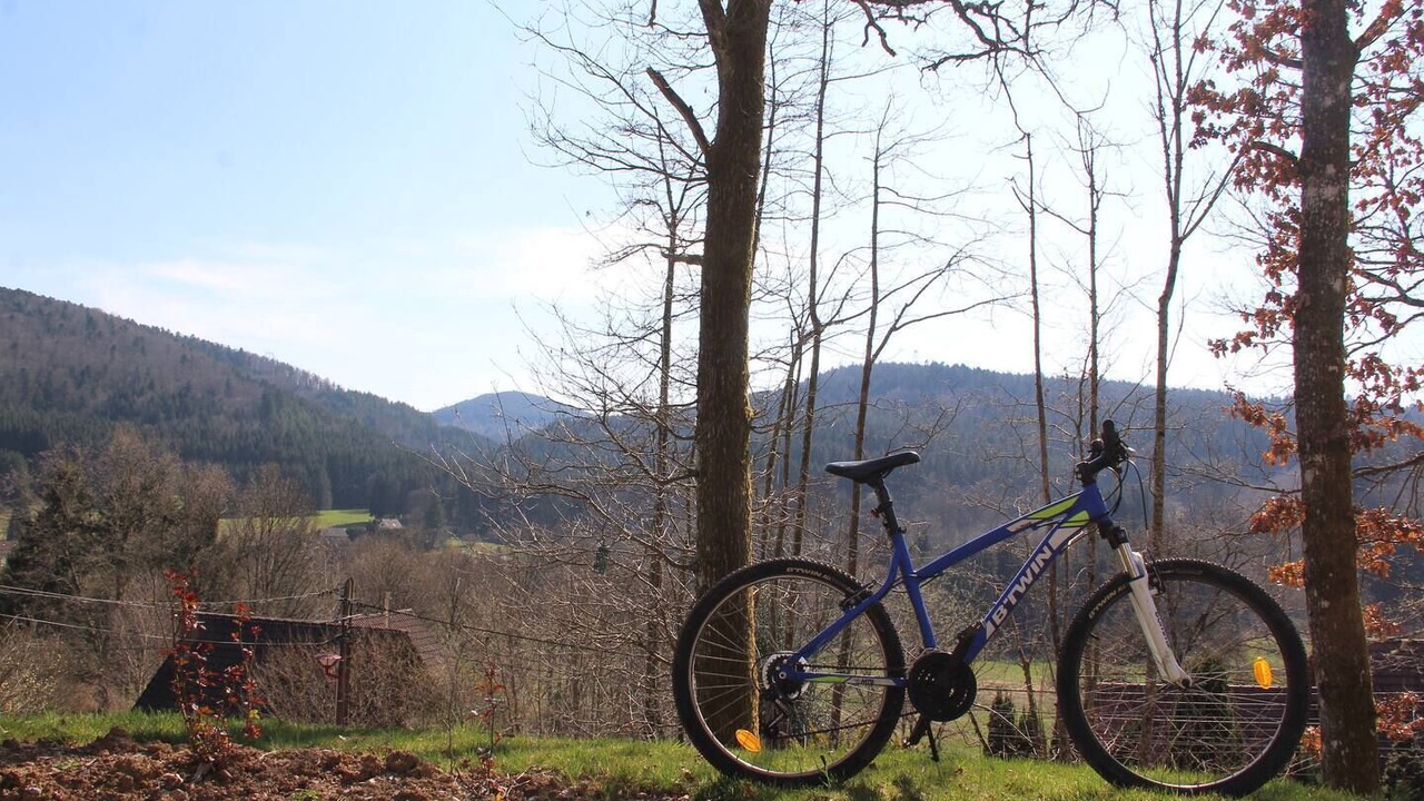 Photo of Others in Colroy-la-Roche